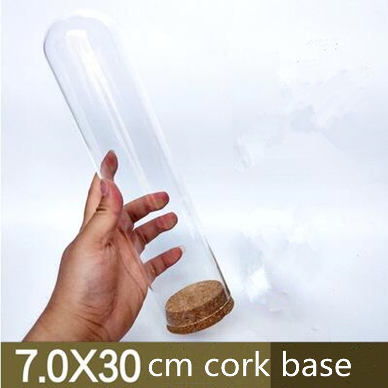 7*30cm Cork Base Glass Dome Home Wedding Decoration Diameter=7cm Diameter=30cm Glass Cover Vase Friend