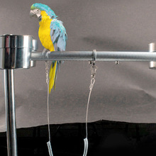 Arnés ultraligero para pájaros y loros, Correa antimordedura para entrenamiento al aire libre, suministros para mascotas, Guacamayo, cacatúa, Lovebird, 3M