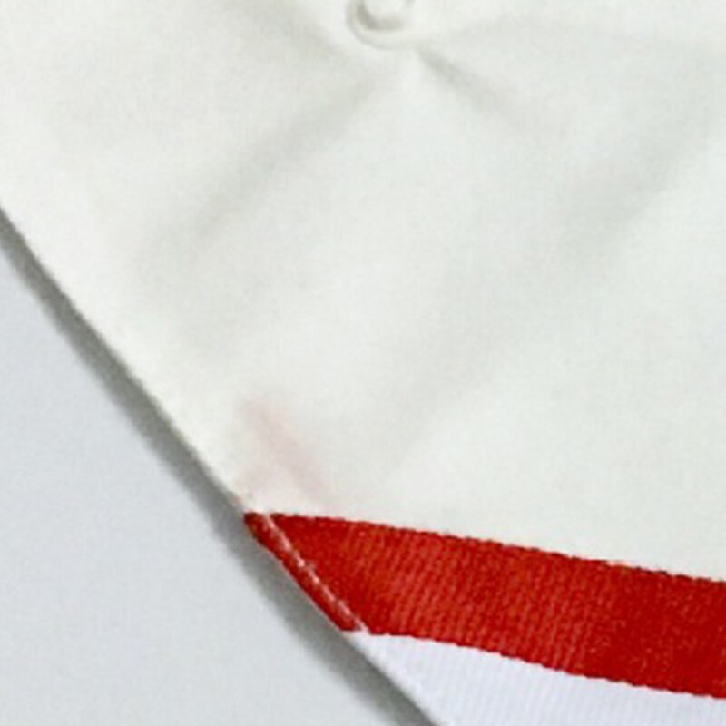 Husdjurshund bandana halsduk valphalsband söt hundtillbehör vip  lc0198 s- l tre storlek: Brev / L