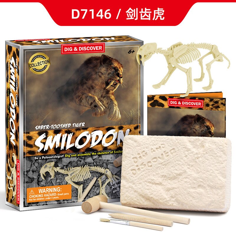 Jurassic world kids toys archaeological excavation Cretaceous animal model skeleton simulation dinosaur toy puzzle assembly: Saber tooth tiger