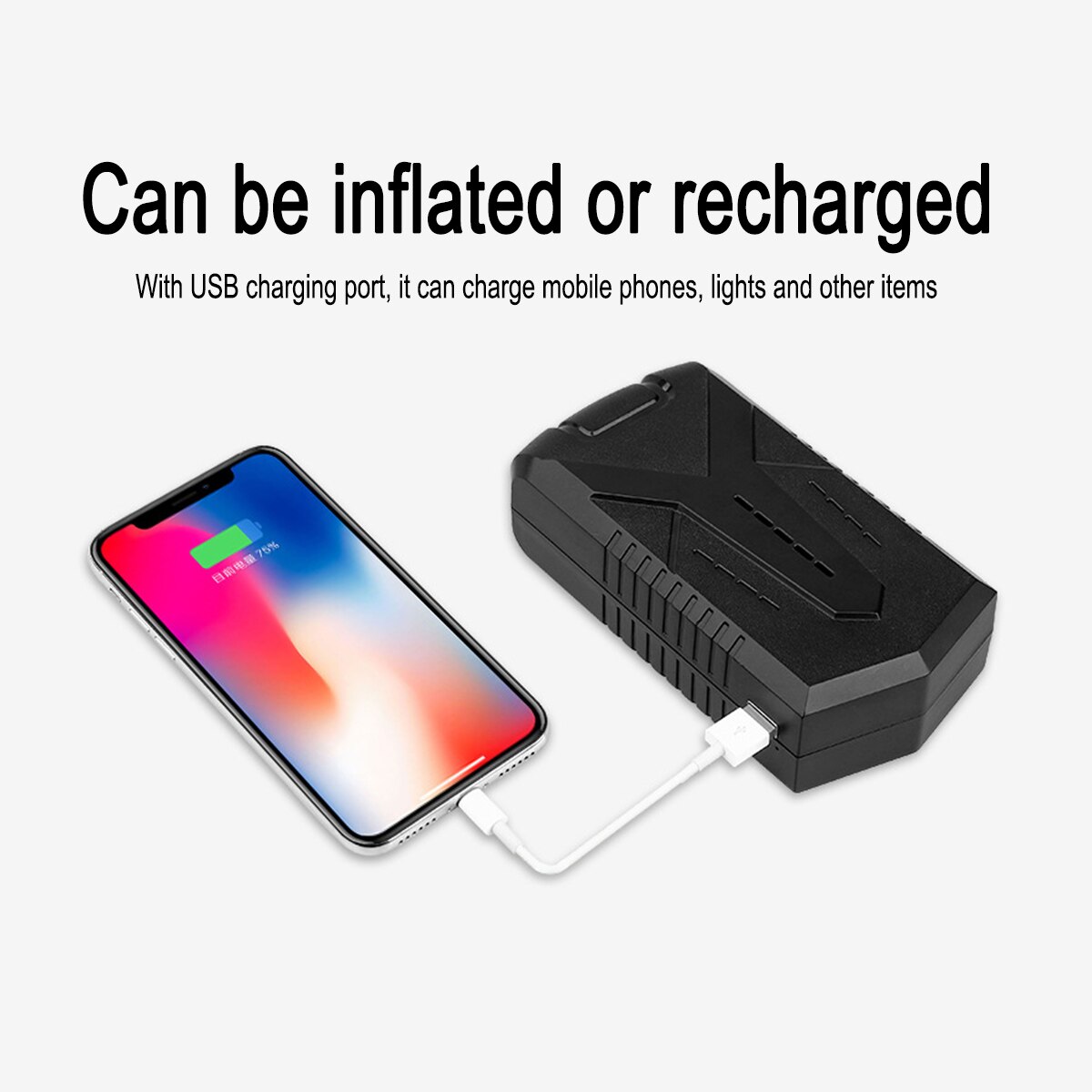 2000mAh Car Portable Air Compressor Pump Tire Inflator DC 12 Volt Auto Tire Pump for Car Motorcycle with Voltmeter USB