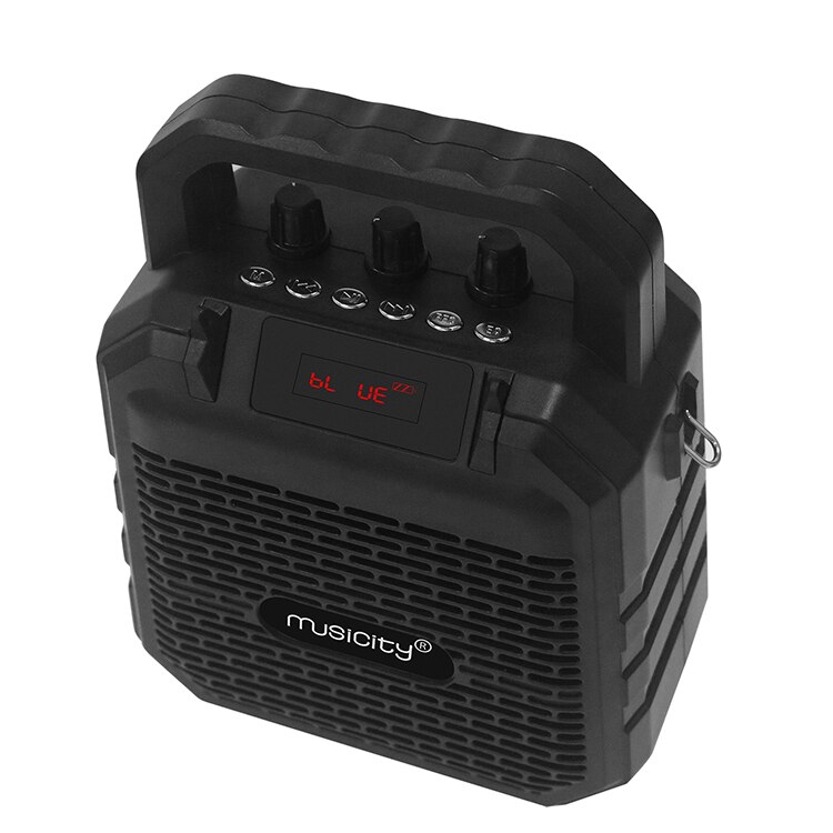 MUSICITY Bluetooth USB Karaoke Amplifier Speaker - Portable Audio Module with Wireless Function
