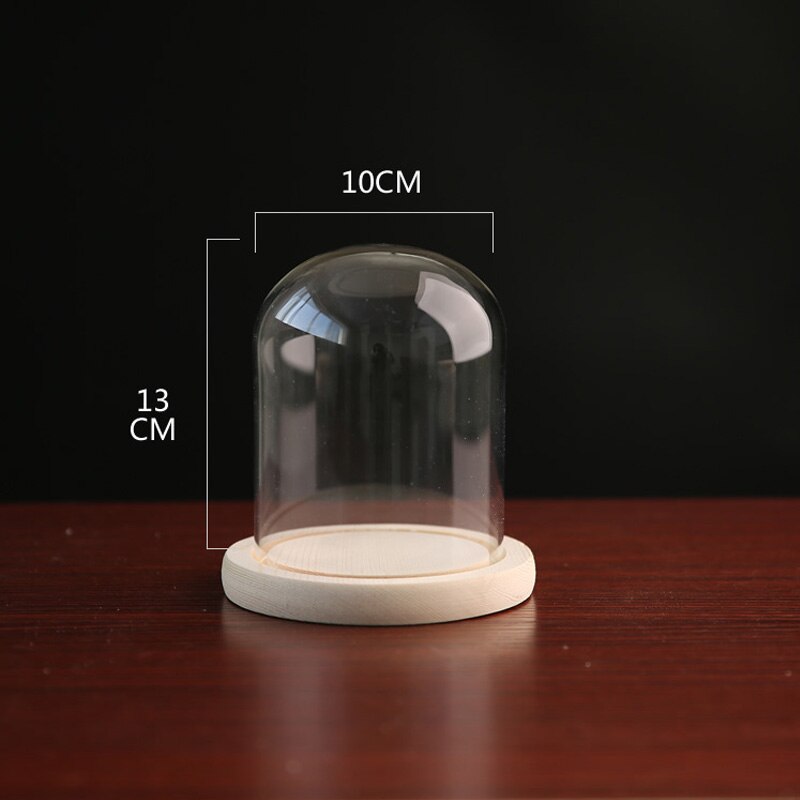 Klart glass display cloche bjelle ornamenter blomsterkrukke glassflaske med trebunn støvdeksel utstillingsboks udødelig blomsterkasse: 6