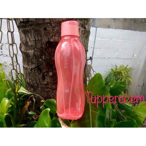 Tupperware Ernährung einstellen (Fach Mittagessen Kasten 1 l und Eco Flasche 750 ml Korallen) freundlicher Schule Arbeit Heimat Reise Gesunde