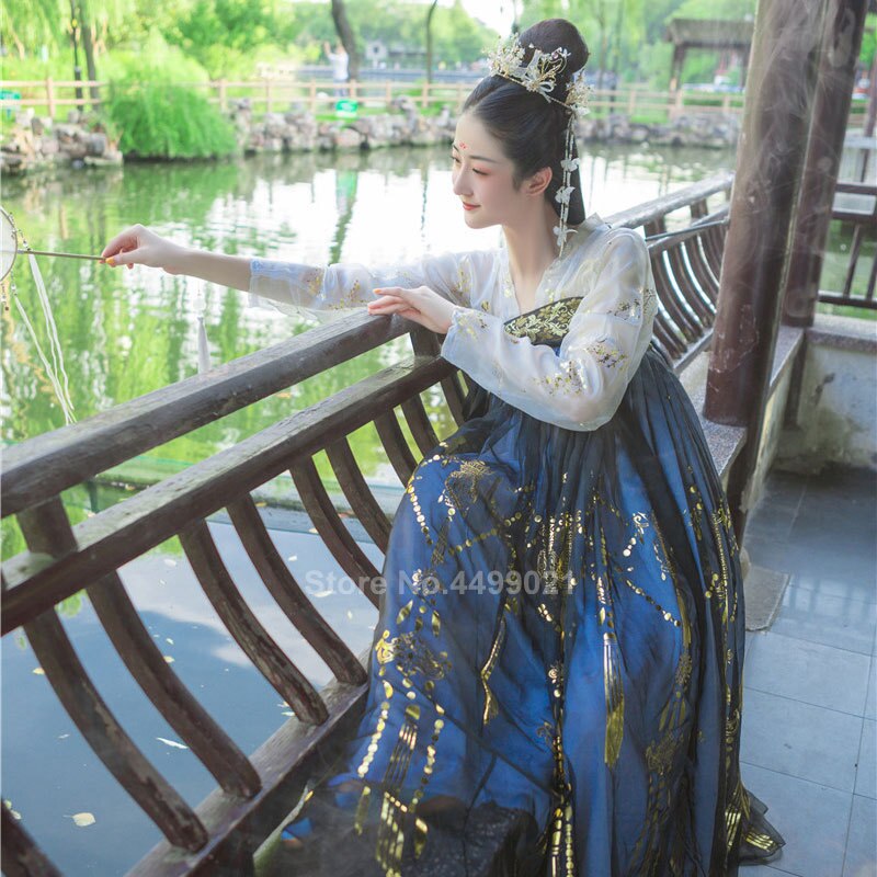 Women Chinese Style Traditional Folk Dance Costume Oriental Han Dynasty Fairy Performance Hanfu Crane Singer Printed Skirt Set