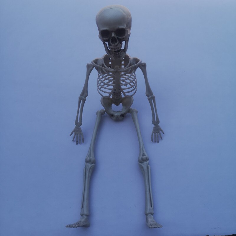 Accessoires d'halloween squelette crâne peur | Crâne réaliste à la main, corps humain, posable, modèle d'anatomie, décoration de Festival fête