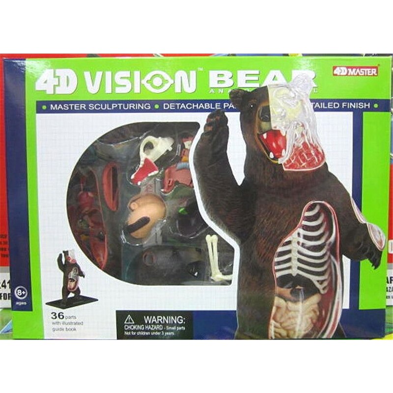 4D ours noir Intelligence assemblage jouet Animal orgue modèle d'anatomie enseignement médical bricolage Science populaire appareils