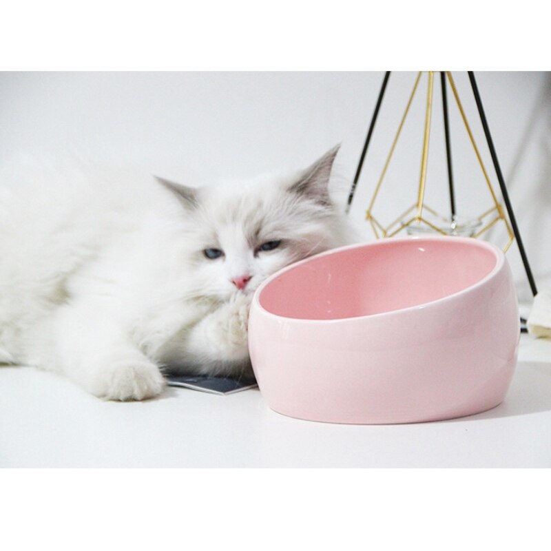 Mooie kom voor kat hond bescherming keramiek nekwervel verhoogde standaard huisdier puppy kitten kommen eten drinken water voederbak