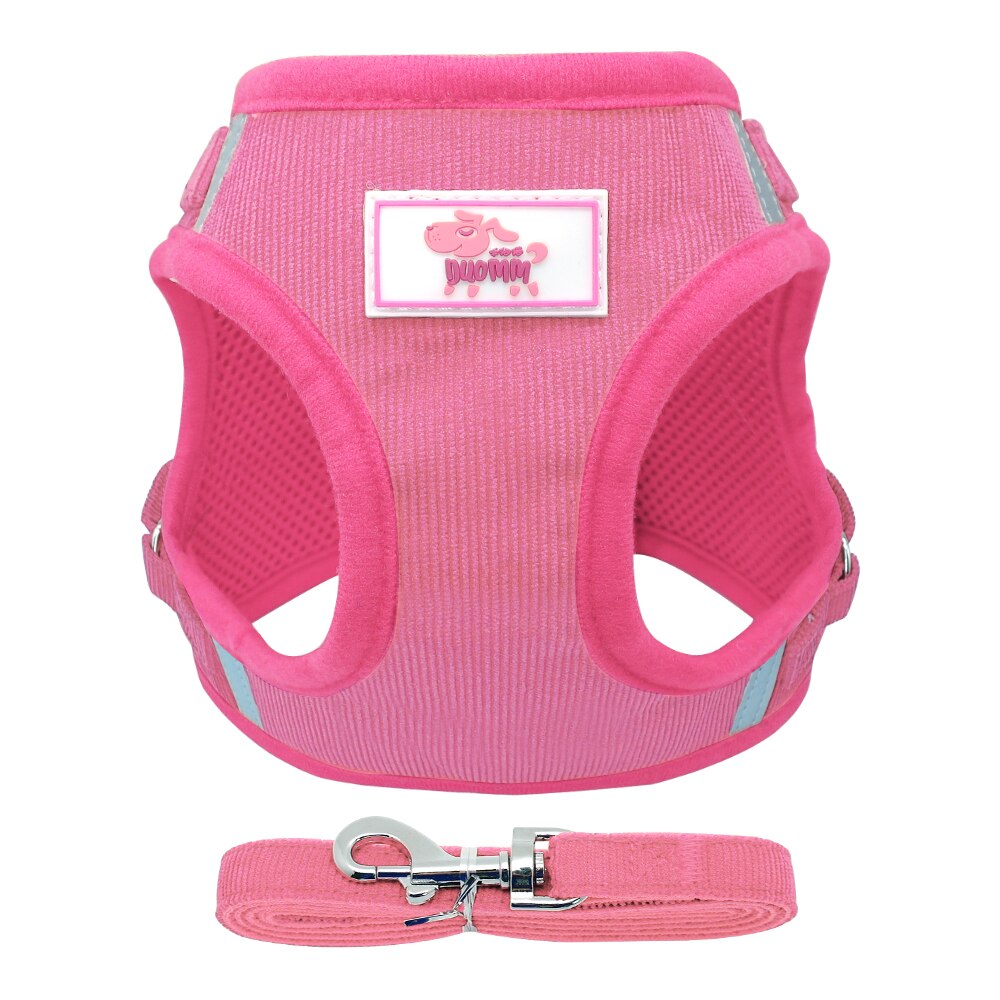 Myk liten hundesele valp katt mesh sele og båndsett justerbar til små mellomstore hunder chihuahua yorkshire bamse rosa xs-l: Rosa / L