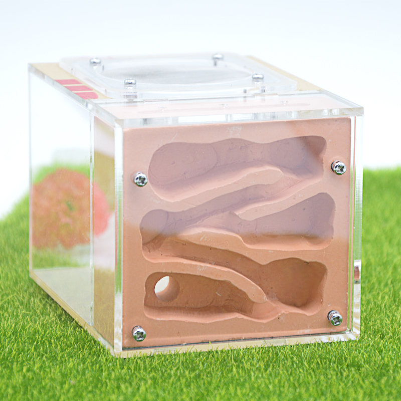 Acrylic & Gypsum Ants-Farm Ants Nest With A Whole Cover Longer Time To Keep Water 10*13*9.5cm