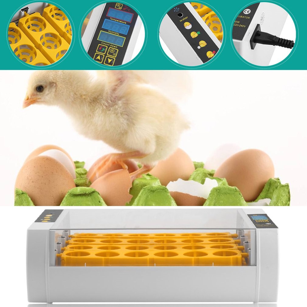 24 Eieren Incubator Automatische Draaien Uitkomen Met Led Scherm Temperatuur Vochtigheid Controle Voor Kip Kwartel Vogel Incubatie Tool