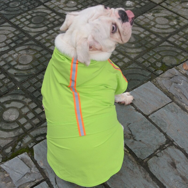 Vêtements imperméables pour bouledogue français, carlin, bouledogue anglais, Pit Bull Terrier, Bully américain, Pitbull