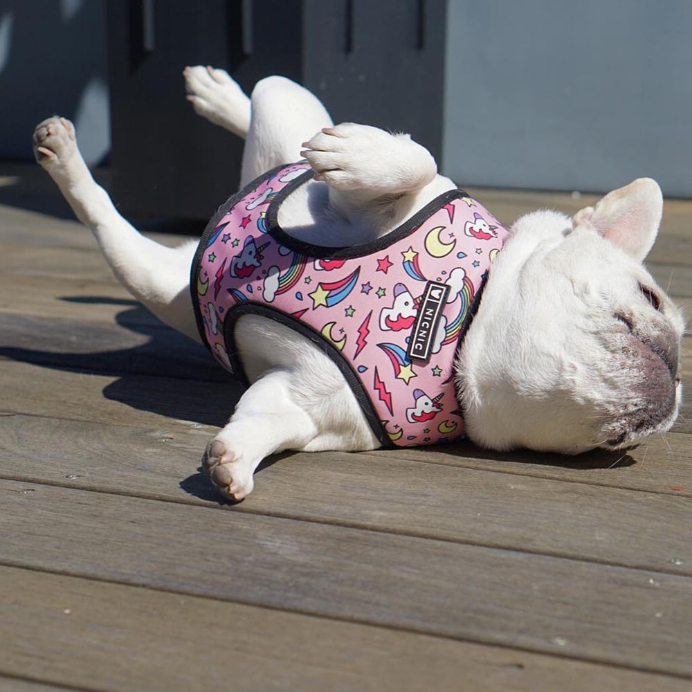 Unicorn Small Dog Harness No Pull Dog Vest Harness for Small Medium Dogs Breathable Pets Puppy French Bulldog Harness Leash Set