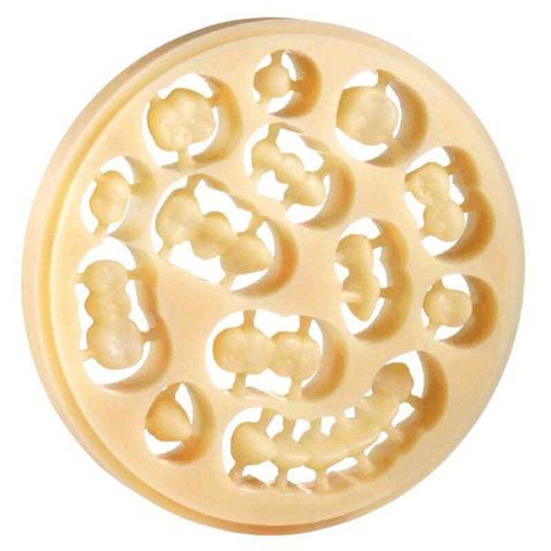 Dental techniker harz labs material cad cam pmma m... – Vicedeal