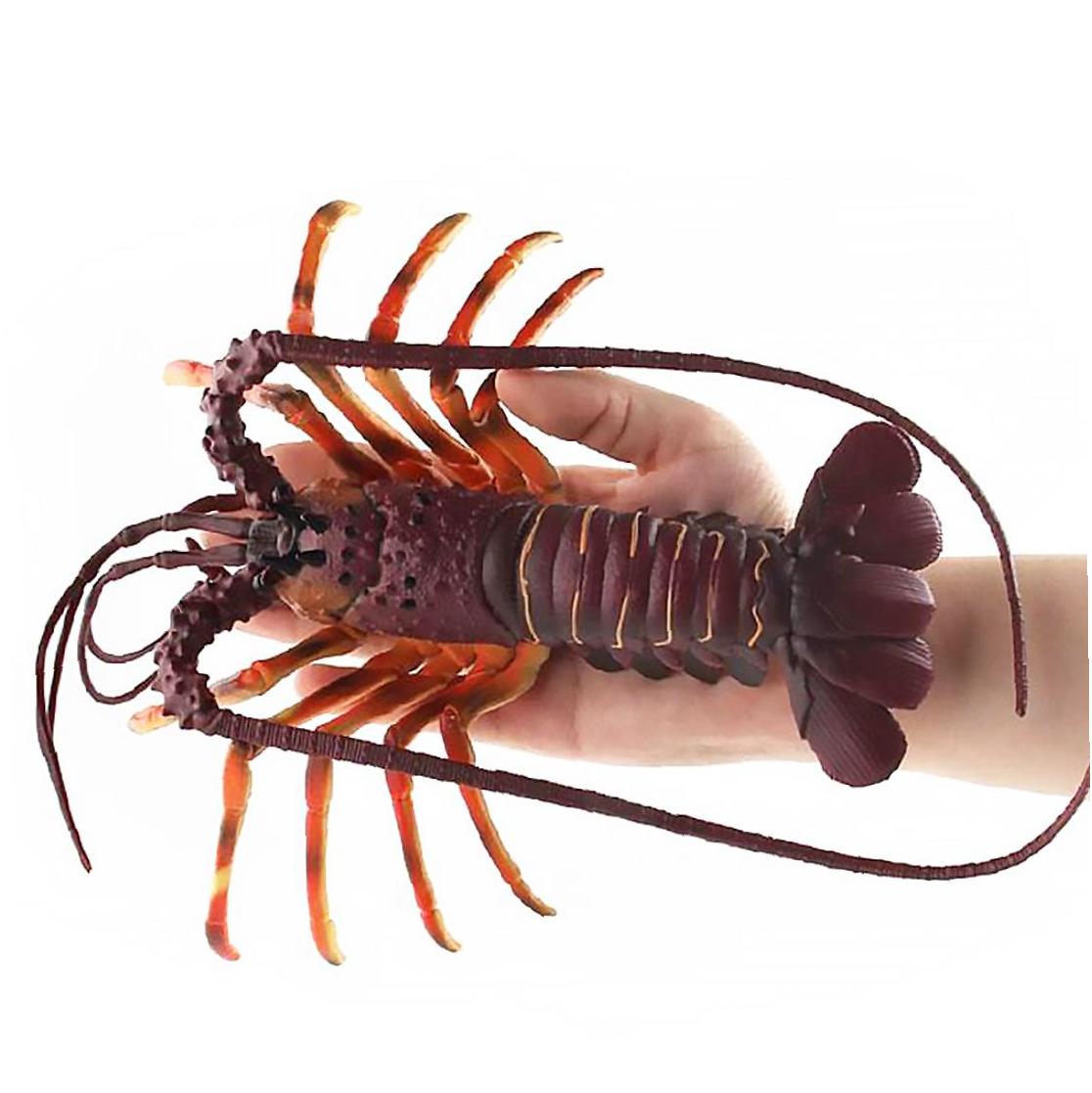 Homard artificiel modèle empereur foncé | Aquarium, Aquarium, jouet éducatif pour enfant, Simulation homard