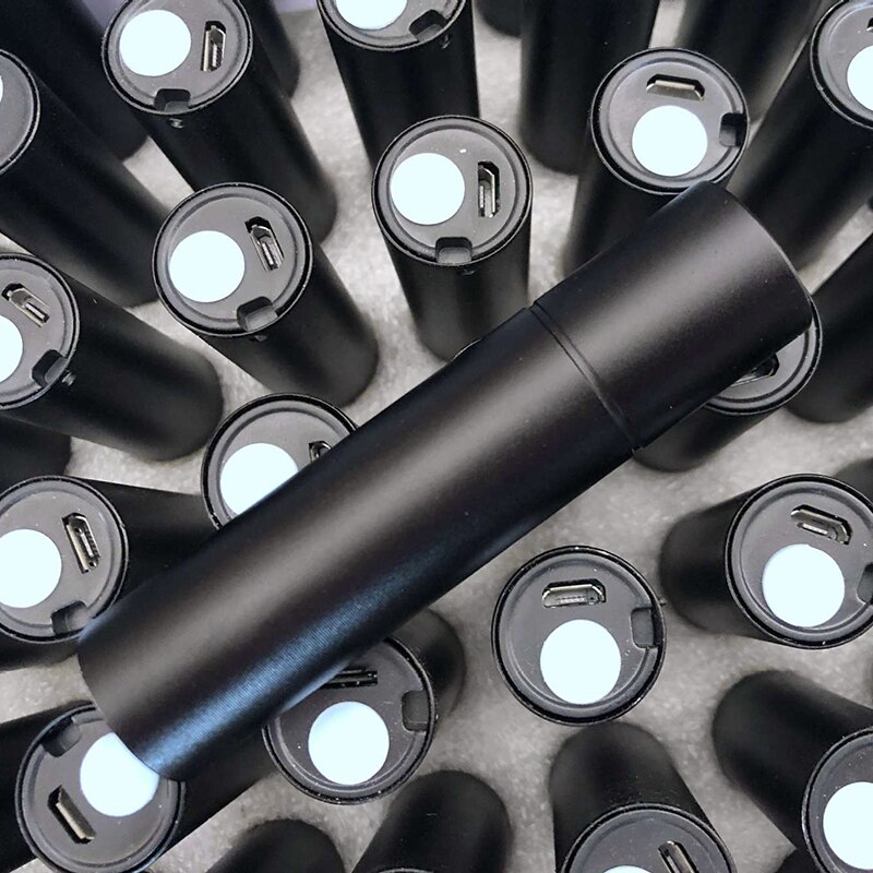 High-Powered Black Light UV Flashlight USB Rechargeable Blacklight Flashlights for Pet Urine Detection Scorpion Bed Bug