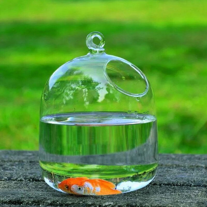 Jarrones colgantes de vidrio transparente, peceras, decoración de acuario hecha a mano