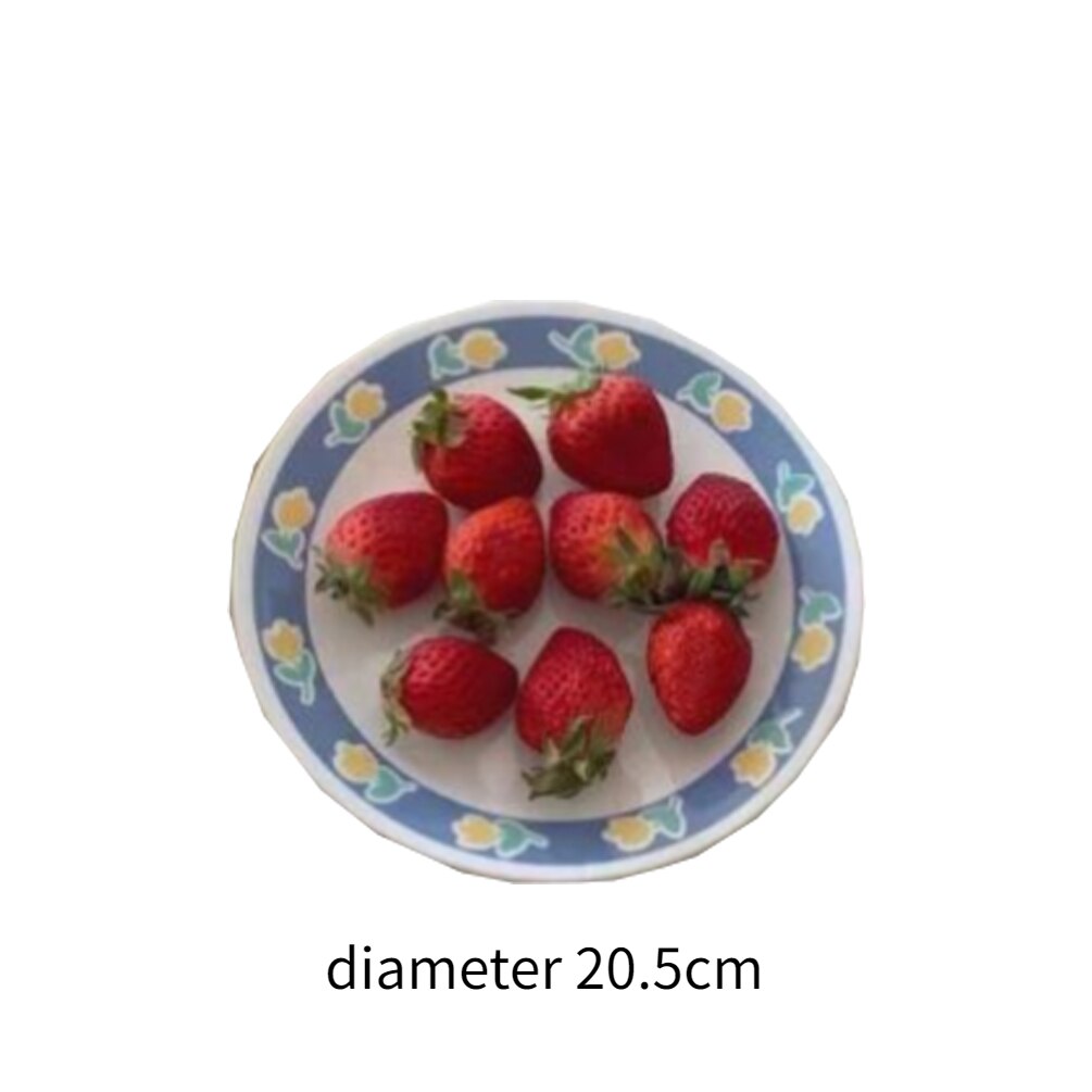 LadyCC-plato calefactor de cerámica para comida, vajilla de cerámica, platos de cena, plato de pastel, plato de fruta, plato Kawaii: E
