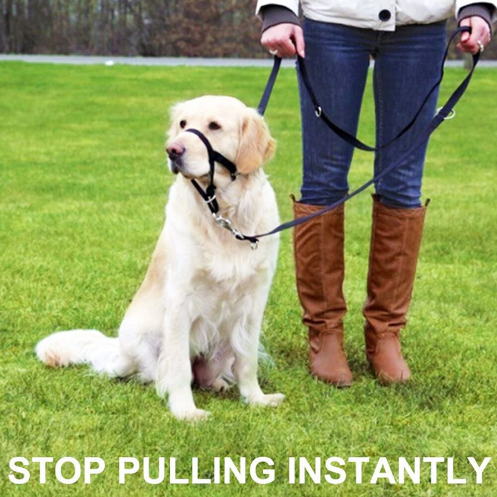 Puppy Dierbenodigdheden Mond Cover Voorkomen Barking Verstelbare Lus Grooming Hond Muilkorf Anti Bijten Leash Duurzaam Training Nylon