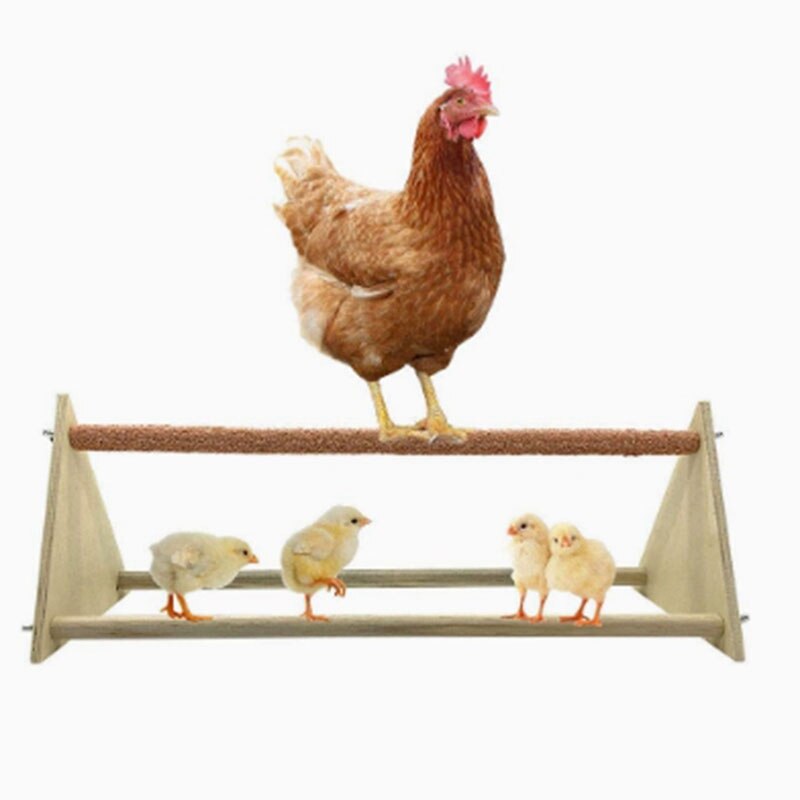 Poleiro de frango suporte de madeira natural pintainho suporte de brinquedo de galinha poleiro trainning para galinhas artesanal