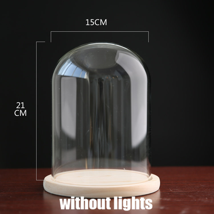 Tabletop Display Glass Cover Terrarium Container Decor Dry Flower Ornaments Craft Bell Jar Wood Base with Feet LED Light Holder: DARK GRAY