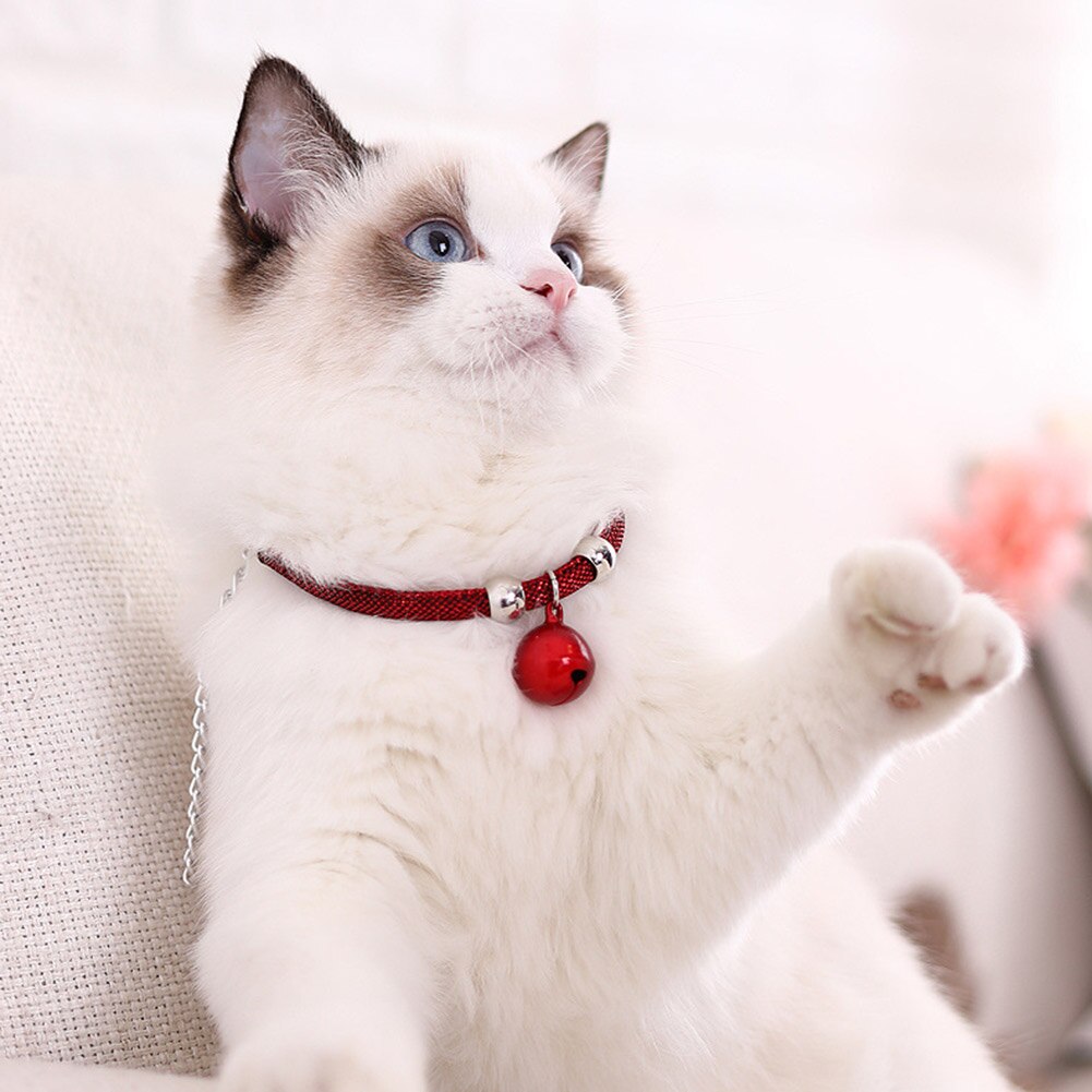 Réglable chat cloche collier chiot collier décor chaton colliers accessoires pour animaux de compagnie cou sangle collier de sécurité
