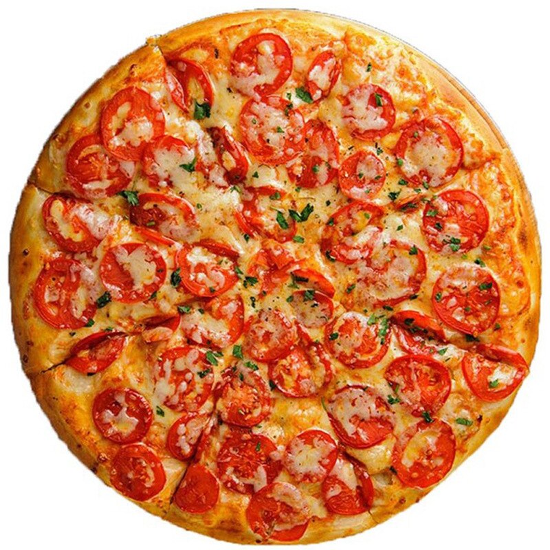 Zachte Warme Flanel Pizza Deken 180Cm Ronde Vorm Donut Hamburger Vliegtuig Reizen Draagbare Wearable Zomer Gooi Deken: 6-6 / diameter-180cm