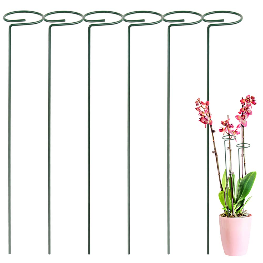 Plant Support Stakes For Flowers Metal Single Stem Plant Support Garden Plant Stakes For Amaryllis Orchid Lily Rose Tomatoes: 12inch