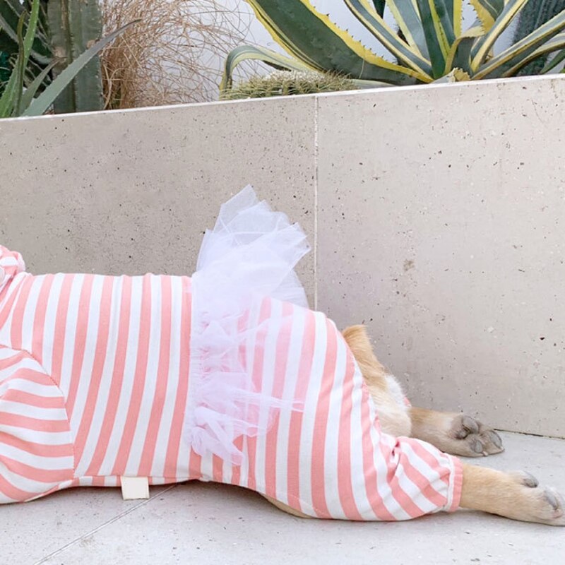 Sød fransk bulldog gris jumpsuit kjole kæledyr hund tøj små mellemstore hunde hvalpefrakke varm hættetrøje tøj chihuahua jakke xic 10