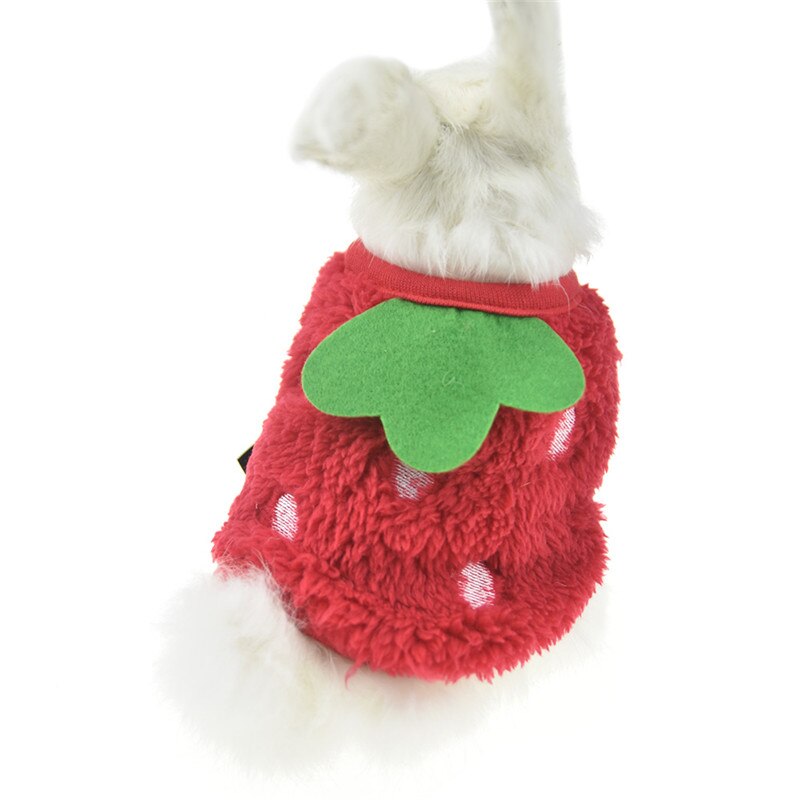 Vinter fleece bunny kanin marsvin tøj til mini mælk hund kat tekop små dyr chinchilla ilder kostume vest hættetrøje: Rød jordbær / 2xs