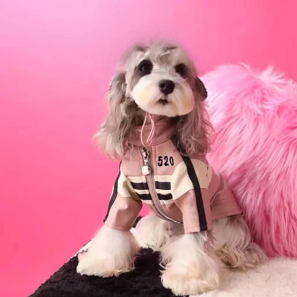 Kurtki dla psów zimowe ubrania Yorkshire sznaucer miś płaszcz dla psa ubrania dla szczeniąt projektant mody zimowe ubrania dla szczeniąt: XXL / Różowy