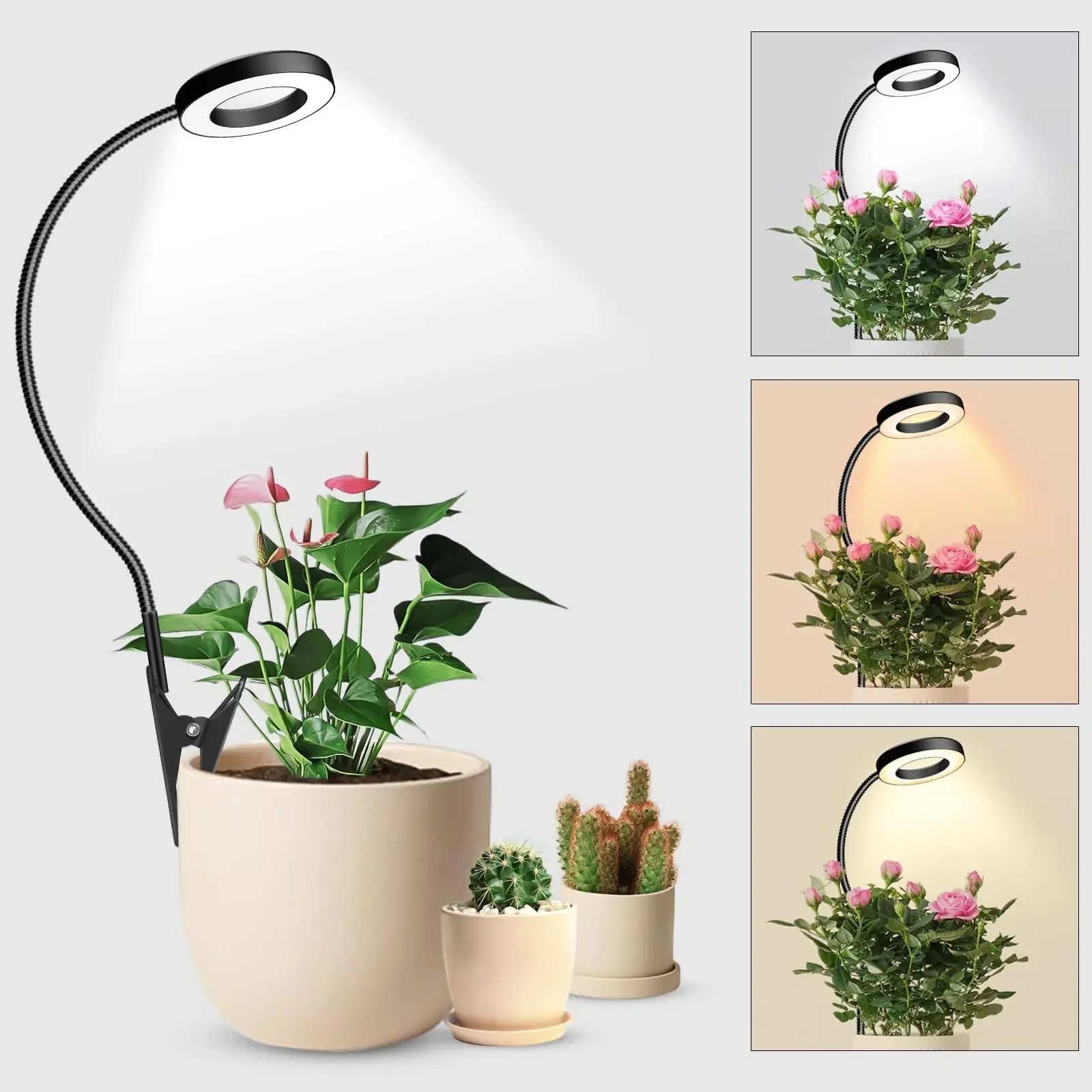 sansevieria luftreiniger AIRY System M mit Bogenhanf – Luftreiniger für Innenräume