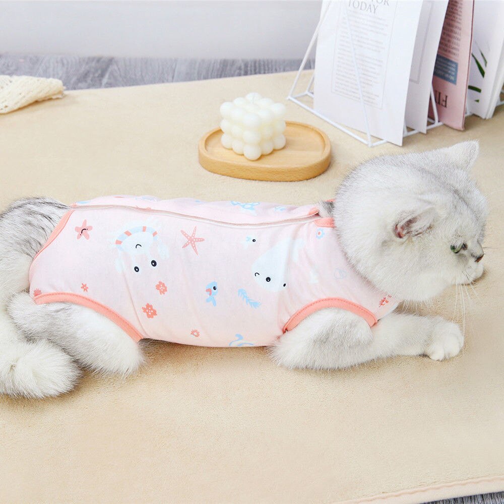 Bata quirúrgica de gato para mujer, ropa de esterilización para mascotas, antipérdida de pelo, suministros para mascotas