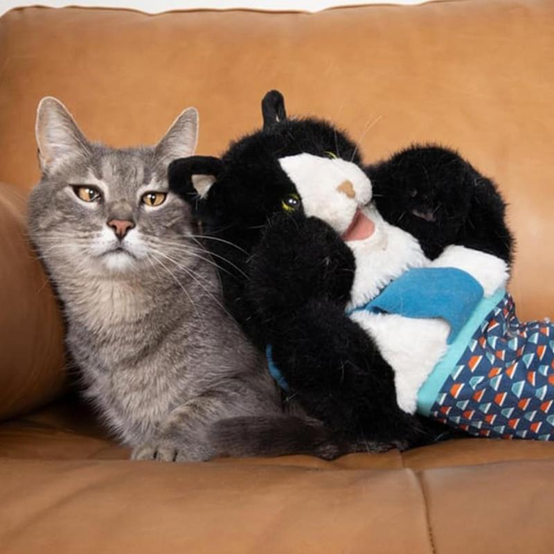 Guanto da lottatore di pupazzi di gatto con imbottitura robusta, giocattolo di lotta con gatto di peluche, guanto da lotta per animali, per un gioco interattivo sicuro