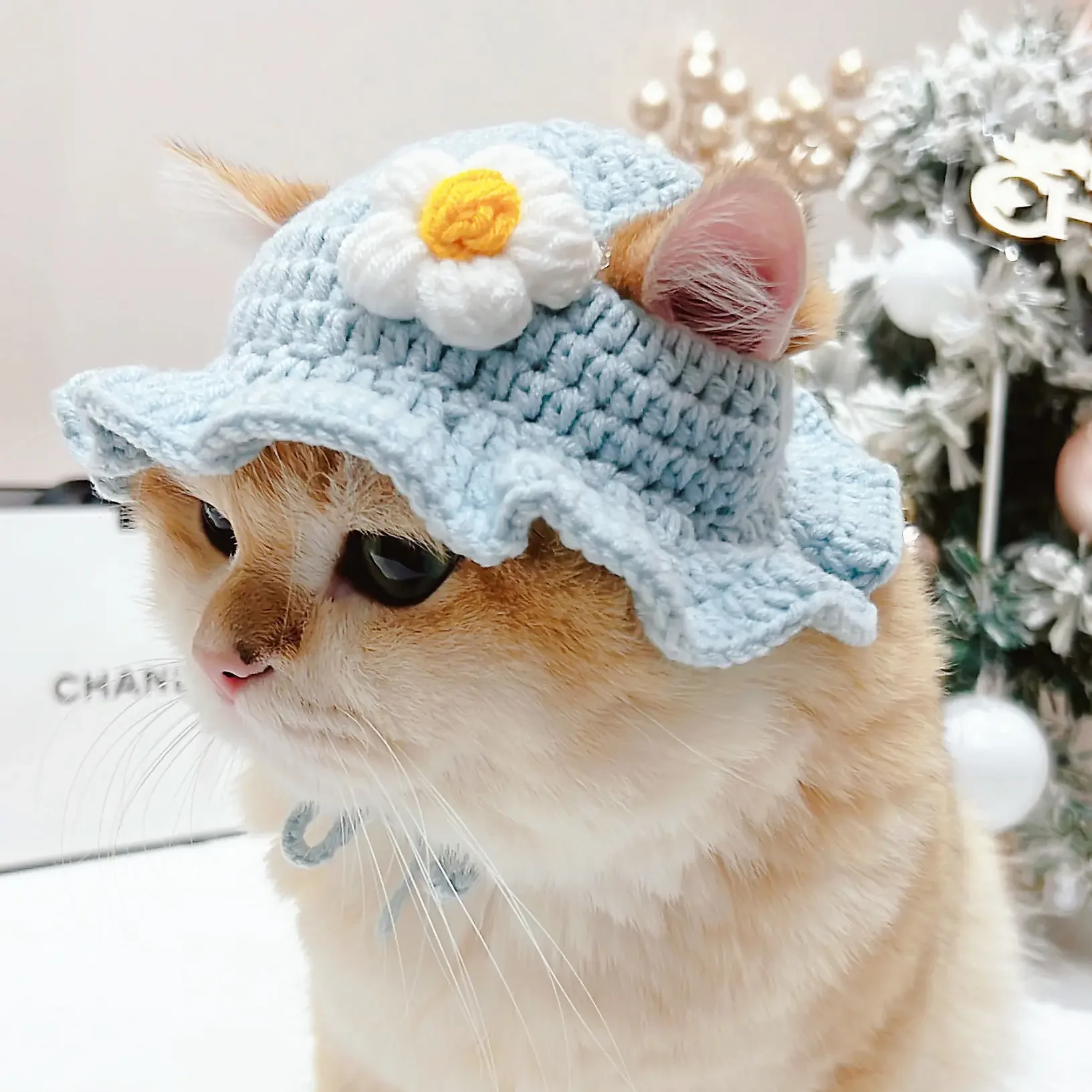 Gorro de punto elástico para gato, accesorio refinado para mascota, cachorro, gatitos, , sesión de fotos, decoración, Otoño e Invierno: Azul