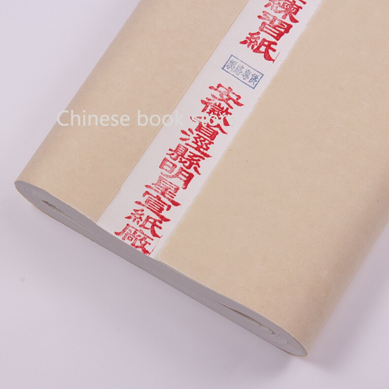 Papier de riz cru chinois blanc pour peinture à l&#39;encre de chine pinceau de calligraphie chinoise papier xuan-100*50 cm, 100 pièces/sac