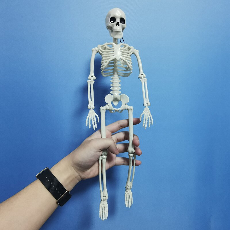 5 Stck Menschlichen Anatomie Skelett skelett Modell Medizinische Medizin Lernhilfe Anatomie 1 Paar Schädel Skelett Hand Knochen Halloween