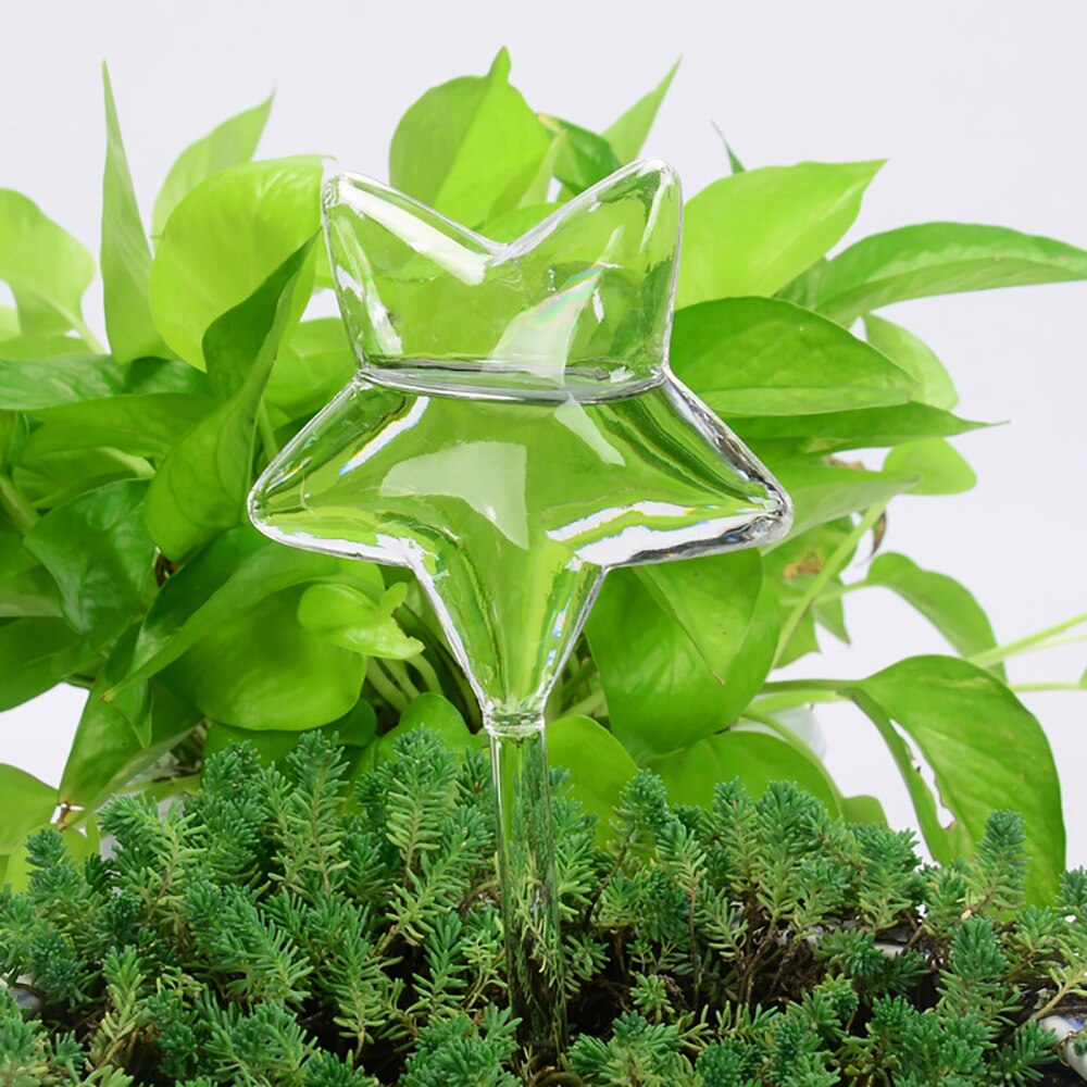 1 stk  of 5 former have indendørs planter automatisk selvbetjening glasvander blomst plante dekoration forsyninger