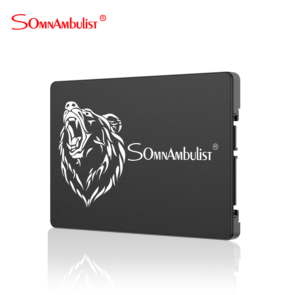 sonnambulo SSD DA 120GB 240GB 60GB 128GB 256GB 512GB 480GB 960GB 360GB 2.5 pollici 32GB 16GB 8GB A Stato Solido interno Del computer Portatile Del desktop