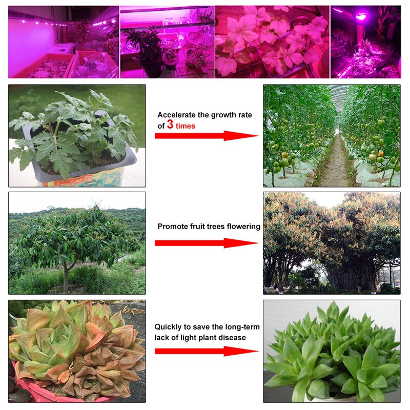 ledet plantevekstlampe kolbe chip fullt spekter  ac 220v 110v 20w 30w 50w drivhus innendørs plantefrøplanter og blomstervekst