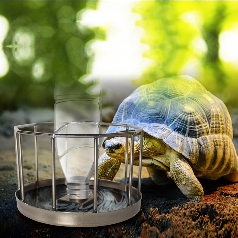 Schildpad Drinken Kom Schotel Schildpad Hagedis Gecko Automatische Water Dispenser Rvs Reptiel Feeder