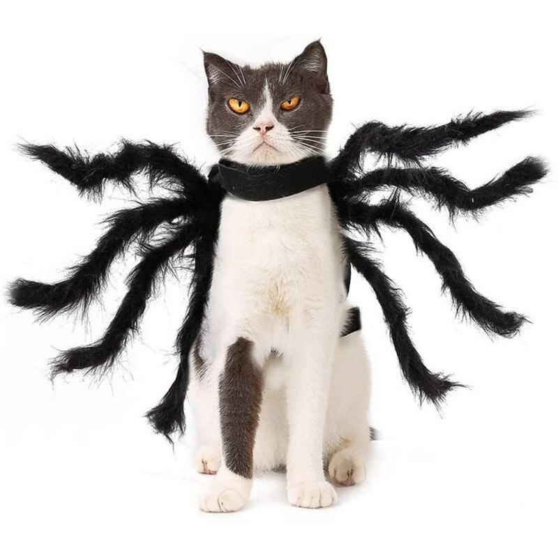 Disfraz de perro o gato de Halloween, disfraz de simulación de araña gigante, disfraz de Mascota, disfraz de Halloween, accesorio para mascotas, decoración para perros