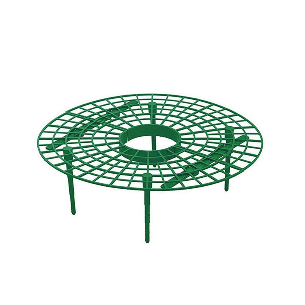 Fraise Support cadre Support balcon Support de plantation fruits Support plante fleur escalade vigne pilier Support jardinage Support