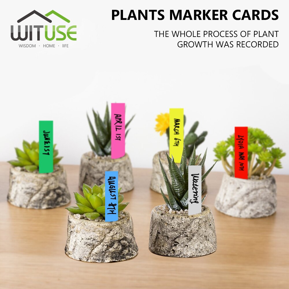 Etiquetas impermeables para vivero, tipo T, cinta de 3 tipos de plástico, para flores y plantas gruesas, bandeja, Mark para herramientas de jardín, 50/100 Uds.