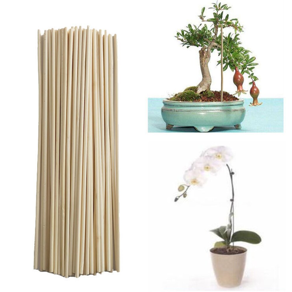 50pcs Inserted Plant Growth Support Rod Solid Gardening Tools Office Indoor Outdoor Planting Natural Bamboo Stakes Universal DIY