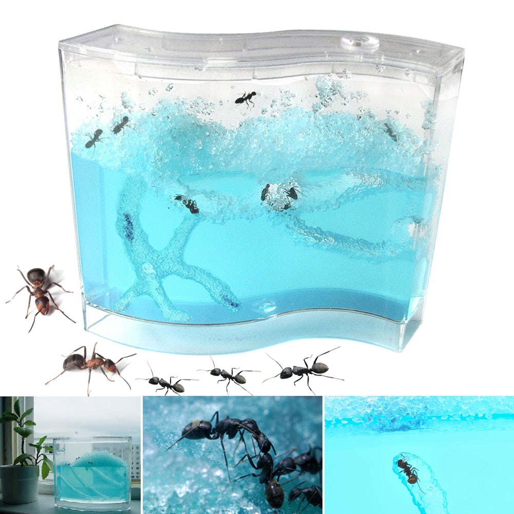 Neue Blau Gel Ant Farm AntWorks Ant Startseite AntWorkshop Pädagogisches Spielzeug 88 NSV775
