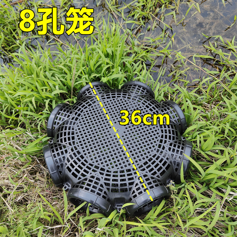 Black Fish Net Cage Durable Plastic Container Mud Cage Container Fishnet Finless Eel Loach Trap Fishing Pot Fishing Traps: Burgundy