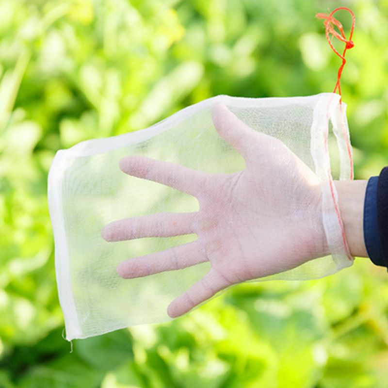 Nylon Insect-proof Mesh Bag Fruit Seed Soaking Filter Pitaya Anti-fly Bags