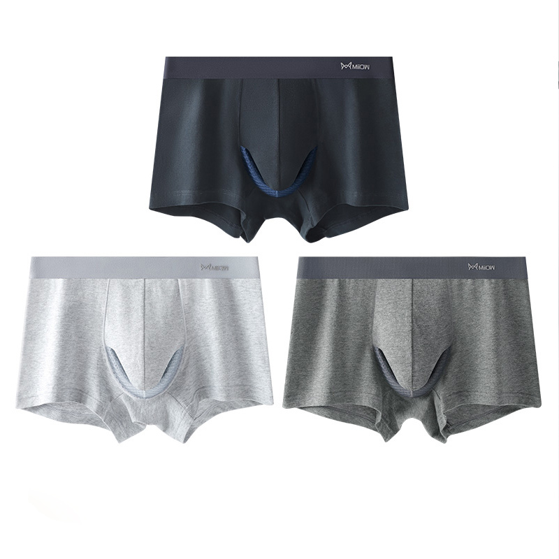 2022 3Pcs Sexy Organic Cotton Boxers Shorts Underpants Soft Cotton Trunks Man Underwear Boxer Men Freegun Breathable Mesh Panty: 3Pcs-M1751-3A / L