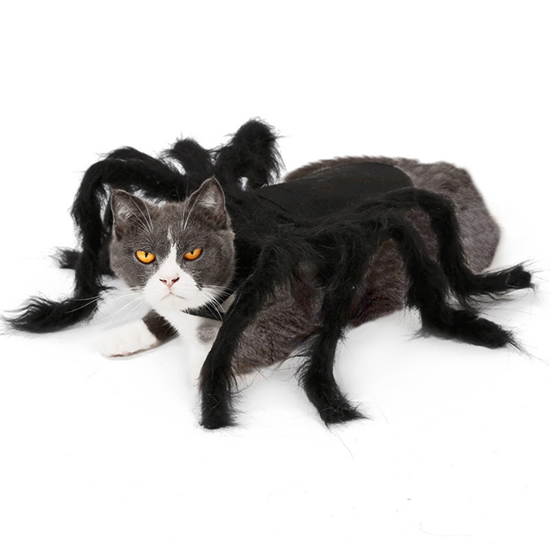 Halloween Katten Cosplay Kostuums Kleine Honden Spider Dressing Up Kleding Horror Lange Bont Benen Grappig Kostuum
